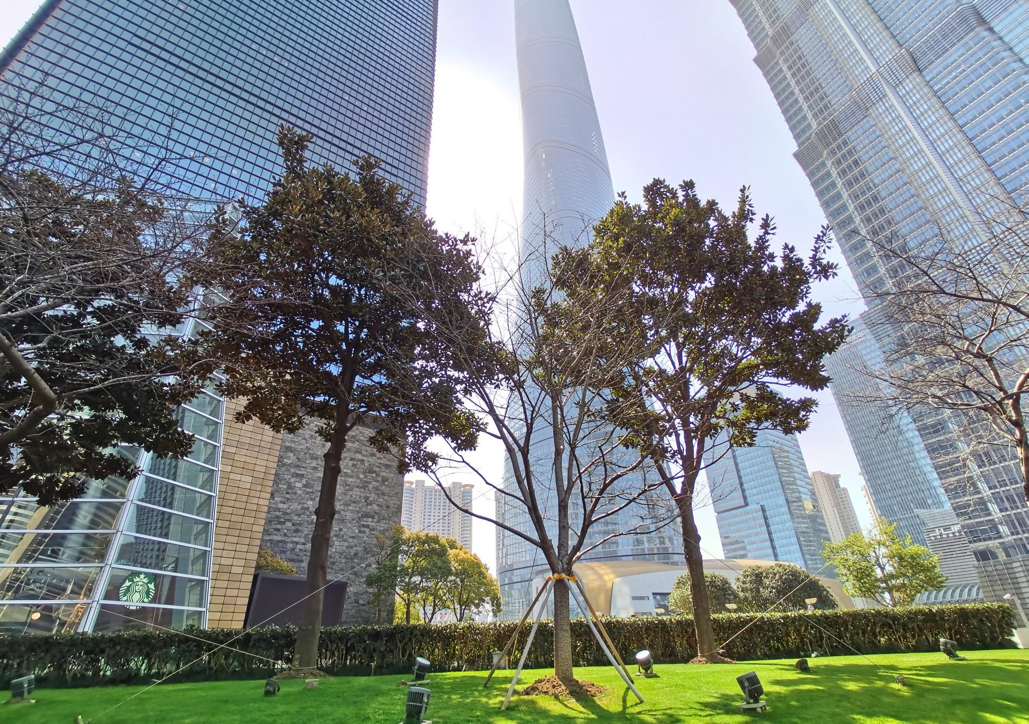 上海环球金融中心租赁_环球金融中心陆家嘴_